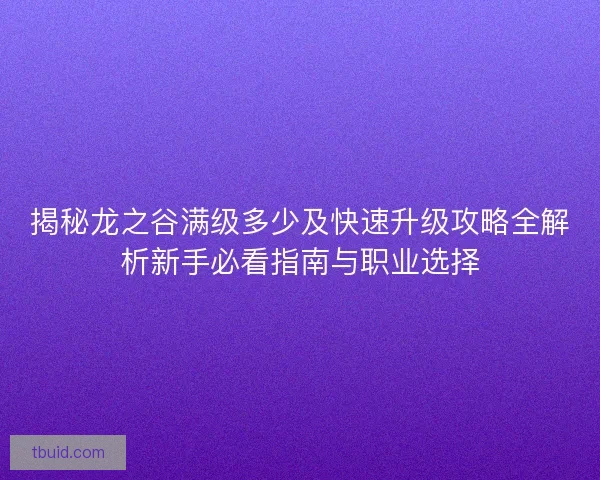 揭秘龙之谷满级多少及快速升级攻略全解析新手必看指南与职业选择